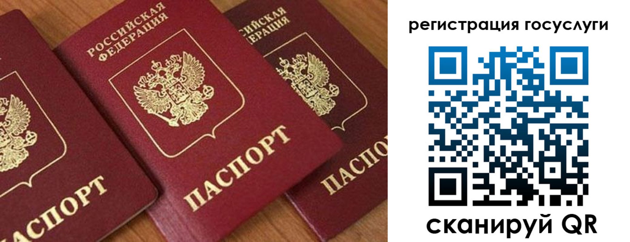 временная регистрация гарантия в Зуевке